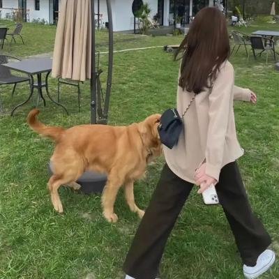 圣安东尼节的早晨